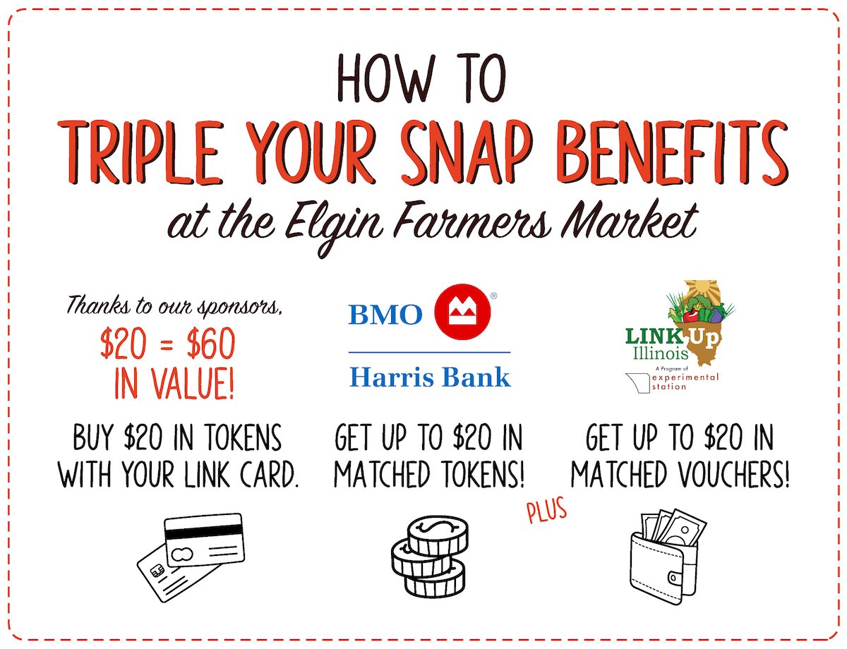 Elgin Farmers Market Snap Benefits Link Match