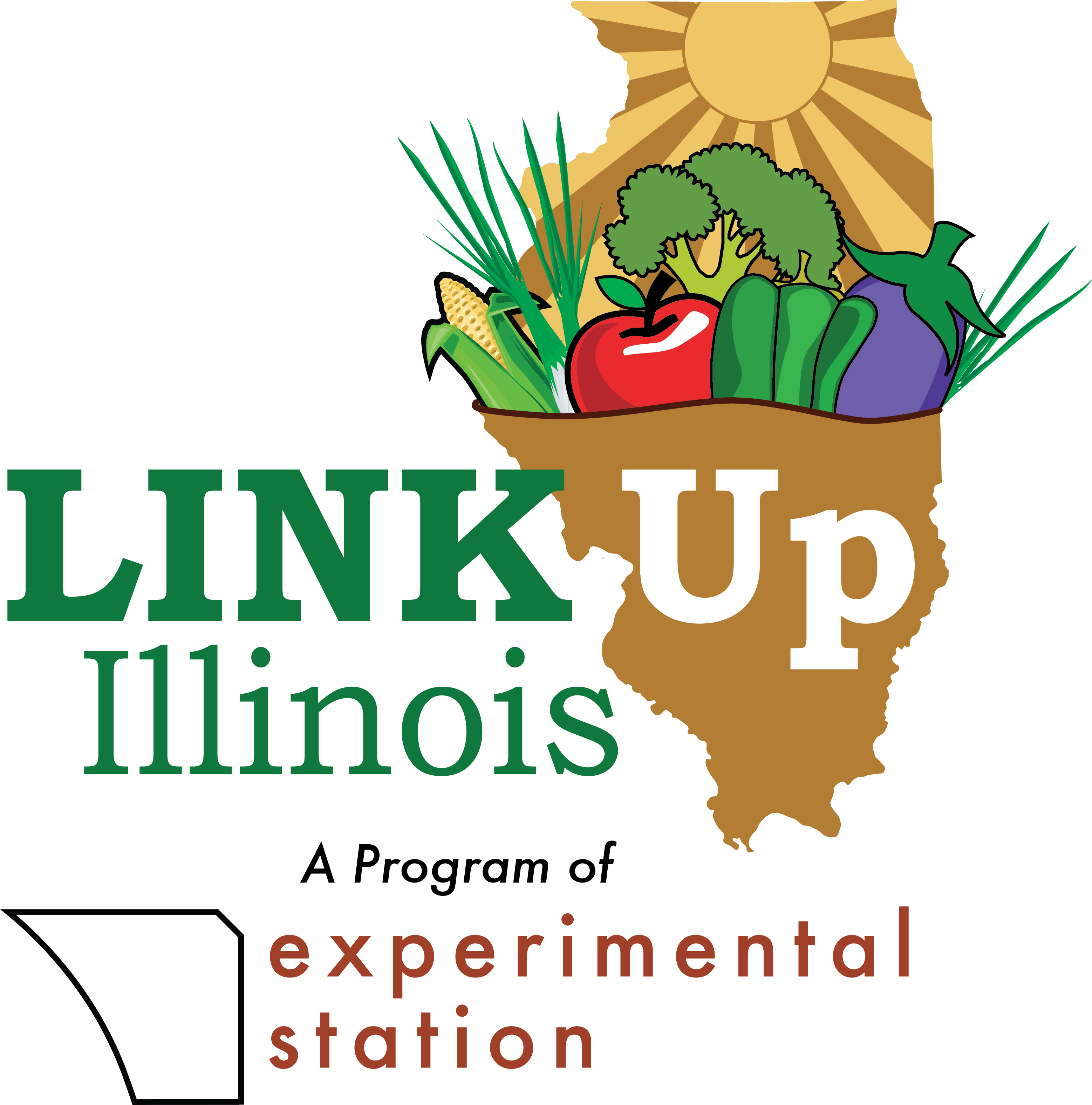 Link Up Illinois
